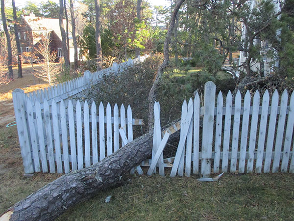 Disaster Rocovery - Wind and Tree Damage
